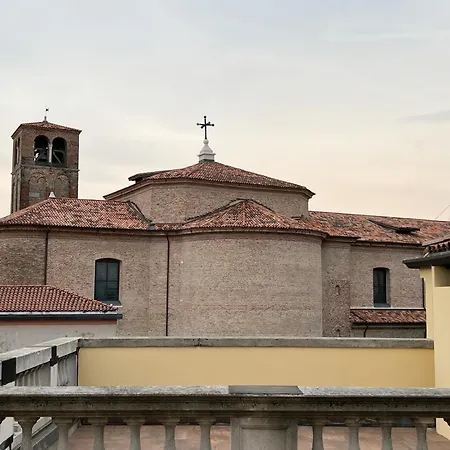 Vivit 39 * מסטרה